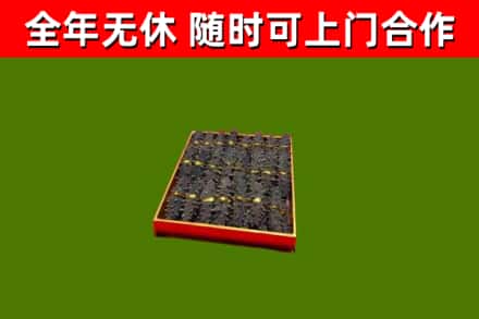 松桃回收海参